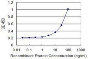 Detection limit for recombinant GST tagged SLC25A21 is 1 ng/ml as a capture antibody. (SLC25A21 antibody  (AA 36-99))