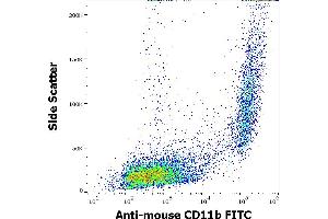 Flow cytometry surface staining pattern of murine peritoneal fluid cells stained using anti-mouse CD11b (M1/70) FITC antibody (concentration in sample 0,5 μg/mL). (CD11b antibody  (FITC))