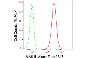 Flow cytometric analysis of MAS1L expression in C2C12 cells using MAS1L antibody (ABIN7799334), 1:2,000). (Recombinant MAS1L antibody)