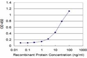 Detection limit for recombinant GST tagged MAGEB1 is approximately 1ng/ml as a capture antibody. (MAGEB1 antibody  (AA 1-347))