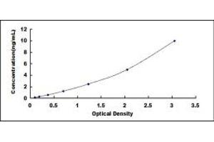 Typical standard curve (Claudin 11 ELISA Kit)