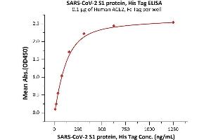 Immobilized Human ACE2, Fc Tag (ABIN6952459,ABIN6952465) at 1 μg/mL (100 μL/well) can bind SARS-CoV-2 S1 protein, His Tag (ABIN6992361) with a linear range of 9. (SARS-CoV-2 Spike S1 Protein (P.1 - gamma) (His tag))