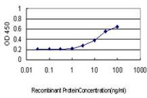 Detection limit for recombinant GST tagged HECW2 is approximately 0. (HECW2 antibody  (AA 637-745))