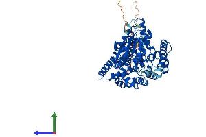 AlphaFold protein structure predicition of Human Recombinant PIGB Protein, UniprotID Q92521 (PIGB Protein (AA 1-554) (His tag))
