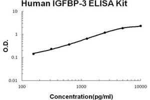 Human IGFBP-3 PicoKine ELISA Kit standard curve (IGFBP3 ELISA Kit)