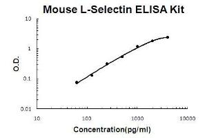 Selectin L (SELL) ELISA Kit