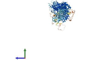 AlphaFold protein structure predicition of Human Recombinant TRAPPC9 Protein, UniprotID Q96Q05 (TRAPPC9 Protein (AA 1-1148) (His tag))