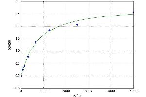 Notch 1 (NOTCH1) ELISA Kit