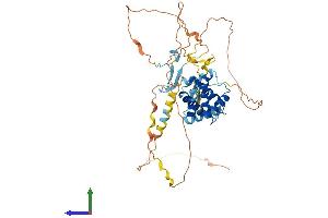 AlphaFold protein structure predicition of Human Recombinant CABLES2 Protein, UniprotID Q9BTV7