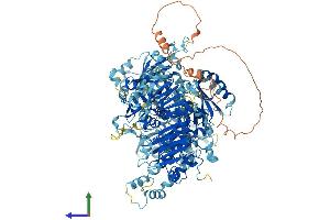 AlphaFold protein structure predicition of Mouse Recombinant Cfap61 Protein, UniprotID Q8CEL2