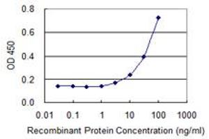 Detection limit for recombinant GST tagged BAZ2B is 0. (BAZ2B antibody  (AA 1833-1931))