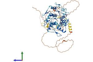 AlphaFold protein structure predicition of Human Recombinant ZNF697 Protein, UniprotID Q5TEC3 (ZNF697 Protein (AA 1-545) (His tag))