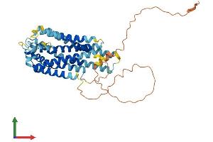 AlphaFold protein structure predicition of Human Recombinant GPR143 Protein, UniprotID P51810