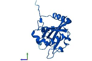 AlphaFold protein structure predicition of Mouse Recombinant Gnpnat1 Protein, UniprotID Q9JK38
