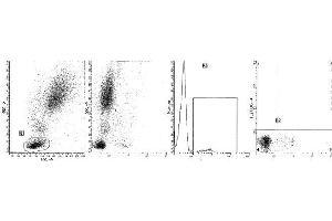 Clone B-ly8 (CD22) was analyzed by flow cytometry using a blood sample from a healthy volunteer. (CD22 antibody)