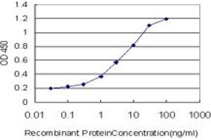 Detection limit for recombinant GST tagged KHSRP is approximately 0. (KHSRP antibody  (AA 151-239))