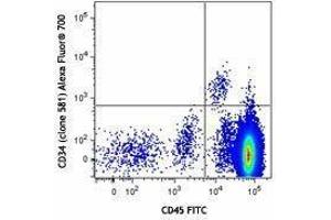 Flow Cytometry (FACS) image for anti-CD34 (CD34) antibody (Alexa Fluor 700) (ABIN2657260) (CD34 antibody  (Alexa Fluor 700))
