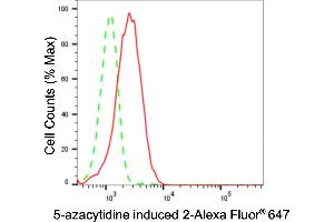 Flow cytometric analysis of 5-azacytidine induced 2 expression in HepG2 cells using 5-azacytidine induced 2 antibody (ABIN7797426), 1:2,000). (Recombinant AZI2 antibody)