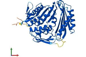 AlphaFold protein structure predicition of Human Recombinant RCL1 Protein, UniprotID Q9Y2P8 (RCL1 Protein (AA 1-373) (His tag))