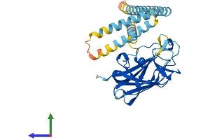 AlphaFold protein structure predicition of Mouse Recombinant Sun3 Protein, UniprotID Q5SS91