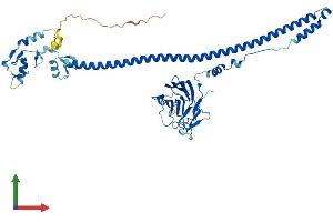 Protein Structure (PS) image for Tripartite Motif Containing 69 (TRIM69) (AA 1-500) protein (His tag) (ABIN7544804)
