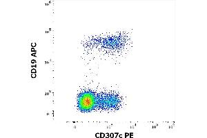 Flow cytometry multicolor surface staining of human lymphocytes stained using anti-human CD307c (H5) PE antibody (10 μL reagent / 100 μL of peripheral whole blood) and anti-human CD19 (LT19) APC antibody (10 μL reagent / 100 μL of peripheral whole blood). (FCRL3 antibody  (PE))