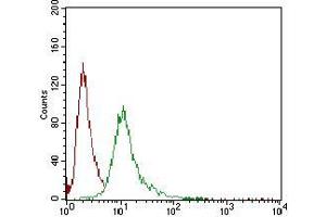 Flow cytometric analysis of A431 cells using SERPINA7 mouse mAb (green) and negative control (red). (SERPINA7 antibody  (AA 168-302))
