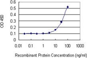 Detection limit for recombinant GST tagged NUP43 is 3 ng/ml as a capture antibody. (NUP43 antibody  (AA 281-380))