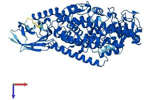 AlphaFold protein structure predicition of Mouse Recombinant Alox8 Protein, UniprotID O35936