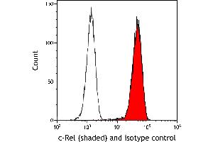 Flow Cytometry (FACS) image for anti-REL proto-oncogene (c-Rel) (C-Term) antibody (ABIN7795772) (Recombinant c-Rel antibody  (C-Term))
