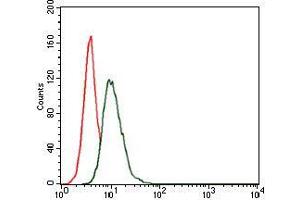 Flow Cytometry (FACS) image for anti-Heat Shock Protein 90kDa alpha (Cytosolic), Class A Member 1 (HSP90AA1) antibody (ABIN969528)