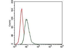 Flow cytometric analysis of HeLa cells using HSP90AA1 mouse mAb (green) and negative control (red). (HSP90AA1 antibody)