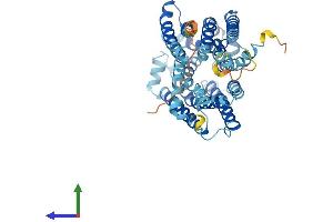 AlphaFold protein structure predicition of Human Recombinant ANKH Protein, UniprotID Q9HCJ1