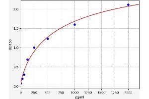 Endothelin 3 ELISA Kit