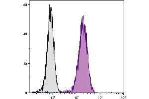 Human T cell leukemia cell line Jurkat was intracellularly stained with Mouse Anti-Human CD107b-UNLB. (LAMP2 antibody  (Biotin))