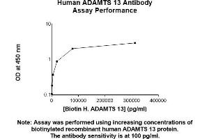 Image no. 2 for anti-ADAM Metallopeptidase with Thrombospondin Type 1 Motif, 13 (ADAMTS13) antibody (ABIN5566846) (ADAMTS13 antibody)