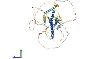 AlphaFold protein structure predicition of Mouse Recombinant Hsf2 Protein, UniprotID P38533