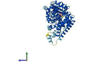 AlphaFold protein structure predicition of Human Recombinant CYP4F11 Protein, UniprotID Q9HBI6 (CYP4F11 Protein (AA 1-524) (His tag))