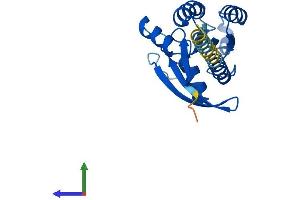 Protein Structure (PS) image for RAS-Like, Estrogen-Regulated, Growth Inhibitor (RERG) (AA 1-199) protein (His tag) (ABIN7551280)