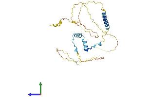 Protein Structure (PS) image for Coiled-Coil Domain Containing 117 (CCDC117) (AA 1-279) protein (His tag) (ABIN7553083)