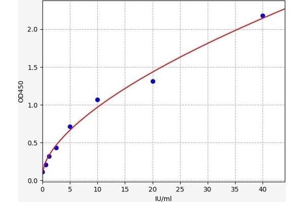 CA 19-9 ELISA Kit
