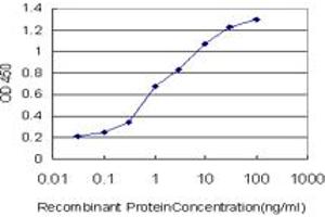 Detection limit for recombinant GST tagged MLLT1 is approximately 0. (MLLT1 antibody  (AA 472-559))