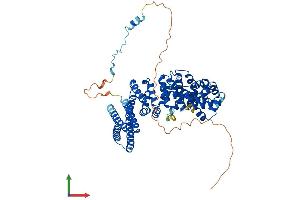 AlphaFold protein structure predicition of Human Recombinant INSC Protein, UniprotID Q1MX18 (INSC Protein (AA 1-579) (His tag))