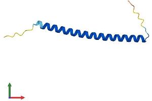 AlphaFold protein structure predicition of Mouse Recombinant Hsbp1l1 Protein, UniprotID B2RXB2