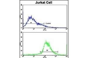 Flow cytometric analysis of jurkat cells using CECR5 Antibody (Center)(bottom histogram) compared to a negative control cell (top histogram). (CECR5 antibody  (AA 164-190))