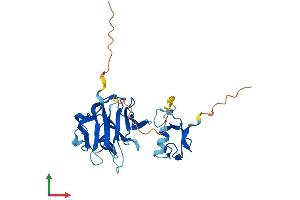 AlphaFold protein structure predicition of Human Recombinant NEURL3 Protein, UniprotID Q96EH8 (NEURL3 Protein (AA 1-262) (His tag))