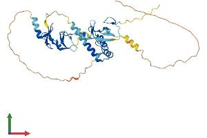 AlphaFold protein structure predicition of Human Recombinant ISL1 Protein, UniprotID P61371