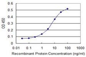 Detection limit for recombinant GST tagged ZSCAN4 is 0. (ZSCAN4 antibody  (AA 3-100))
