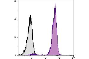 Chicken peripheral blood lymphocytes were stained with Mouse Anti-Chicken CD44-FITC. (CD44 antibody  (FITC))