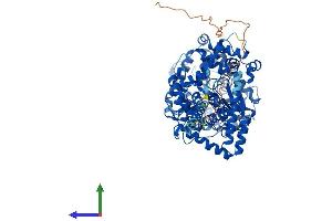 AlphaFold protein structure predicition of Human Recombinant ECE1 Protein, UniprotID P42892